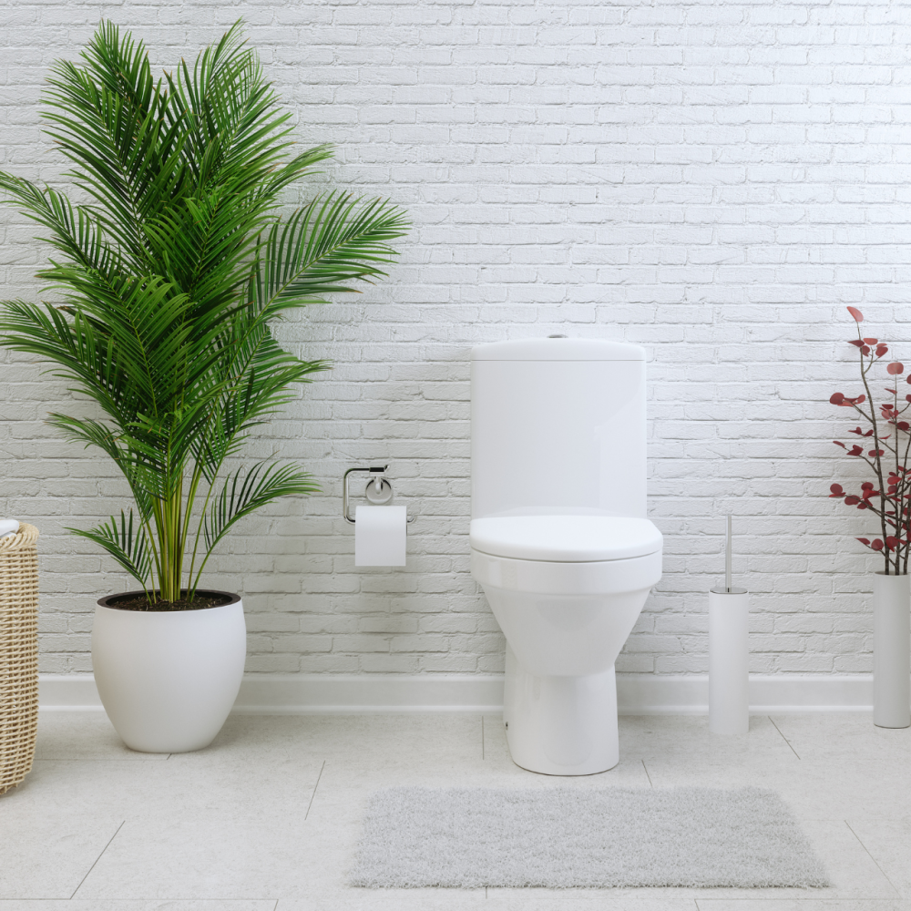 toilet-bathroom-plant-img